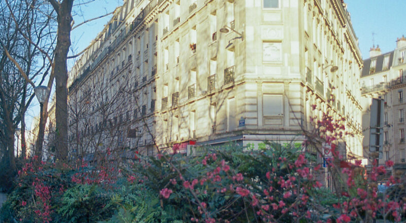 A photograph of wildflowers at the foot of a building in Paris.